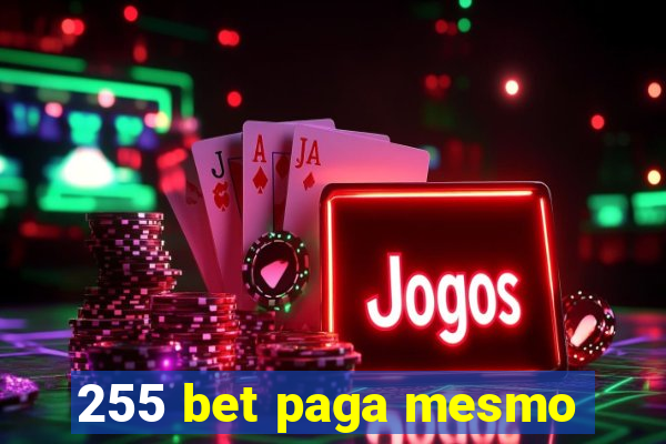 255 bet paga mesmo